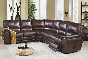 Elran Reclining Furniture