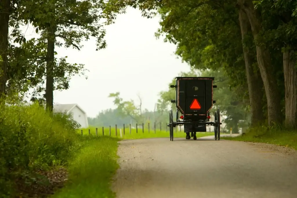 Amish Buggy